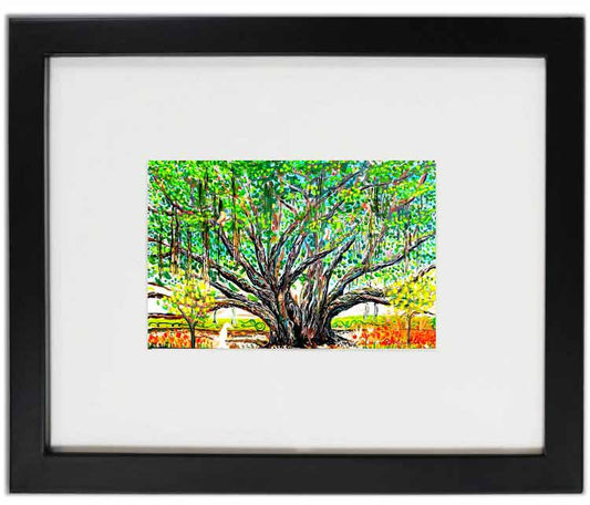 Colored Banyan Tree - Framed Hawaii Art Prints